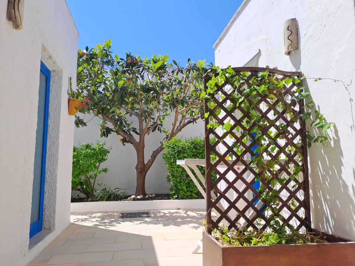 Villa Mediterranea 托里德欧索 外观 照片